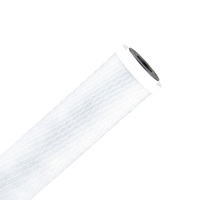 Aquastream 10" x 2.5" Silver Carbon Block Filter - 10 Micron