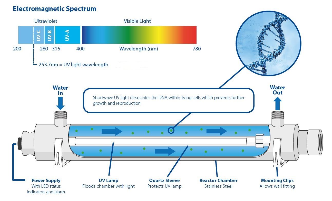 Designing for Disinfection through Ultraviolet (UV) Light
