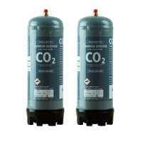 Aquastream 91295 Sparkling CO2 Cylinder for Zip - Twin Pack