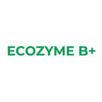 Ecozyme