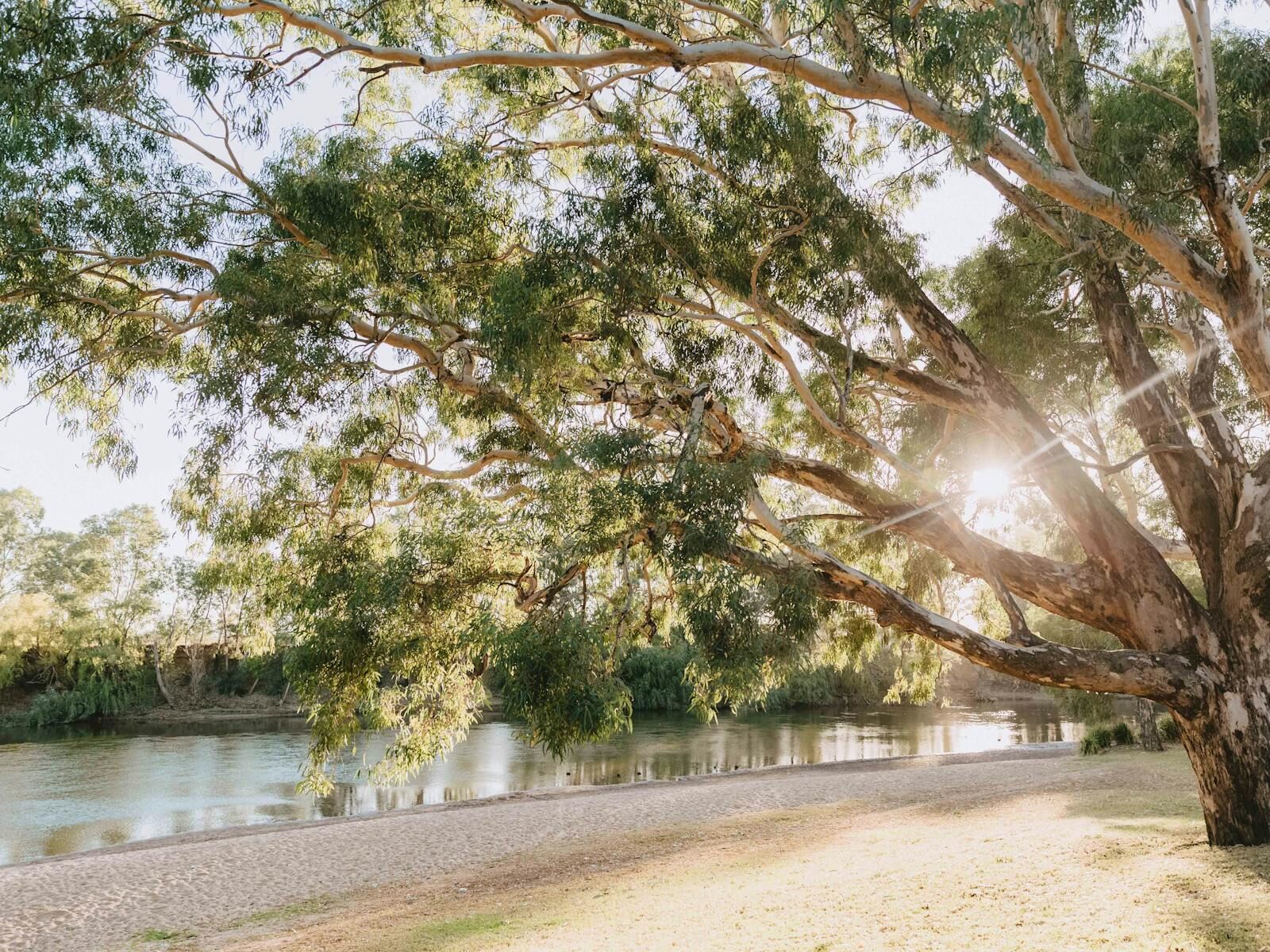 Laurence's Experience with Whole Home Filtration - Wagga Wagga, NSW