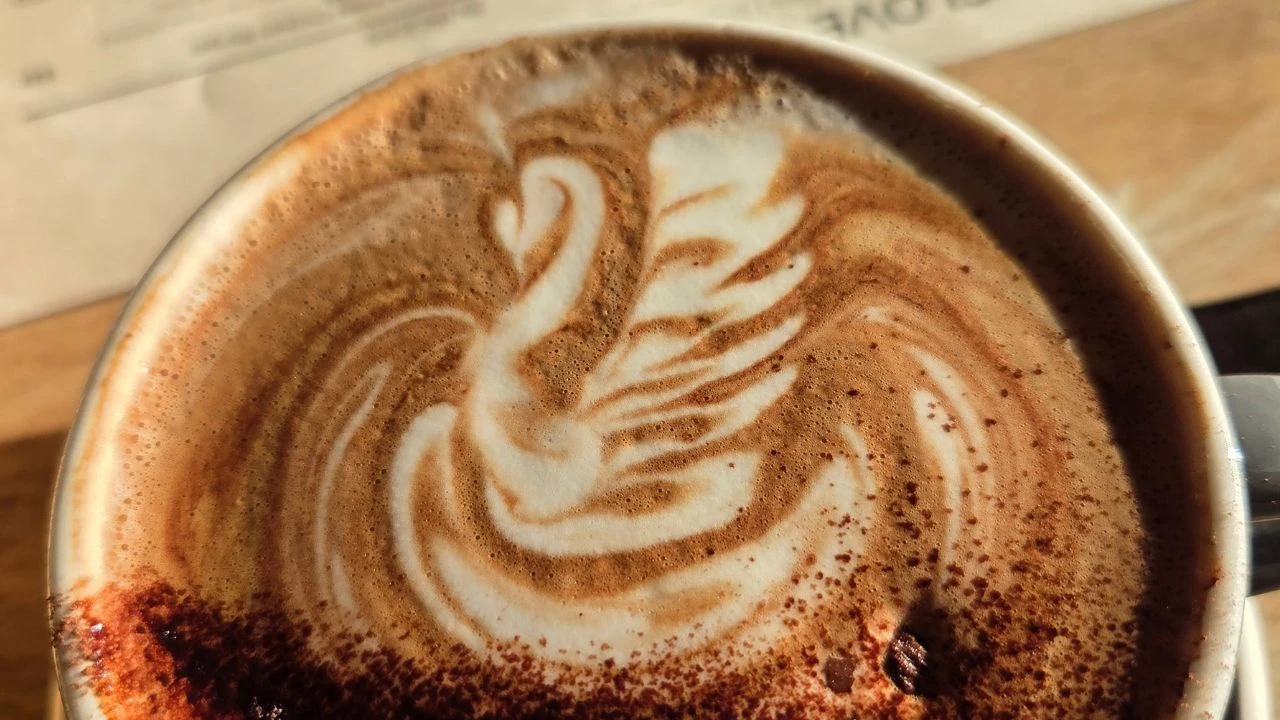 Water That Brews Great Tasting Coffee Without Scaling Your Espresso Machine